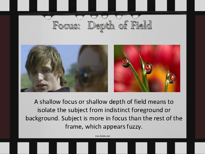 Focus: Depth of Field A shallow focus or shallow depth of field means to