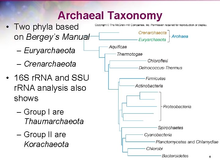 20 The Archaea 1 Copyright Mc GrawHill Global