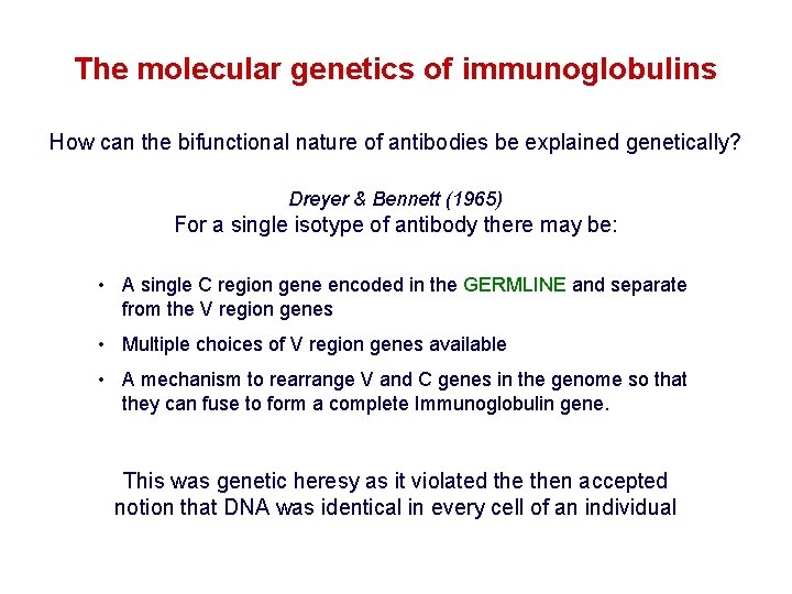 The molecular genetics of immunoglobulins How can the bifunctional nature of antibodies be explained