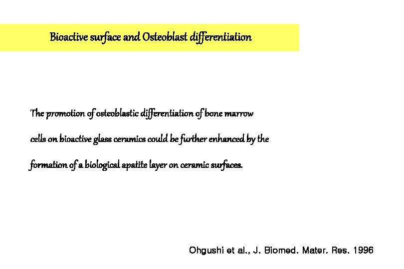 Bioactive surface and Osteoblast differentiation The promotion of osteoblastic differentiation of bone marrow cells