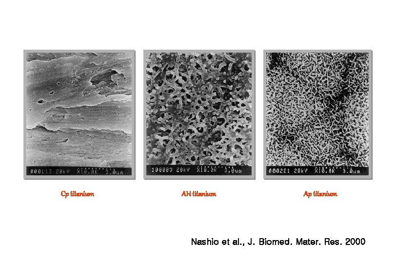 Cp titanium AH titanium Ap titanium Nashio et al. , J. Biomed. Mater. Res.