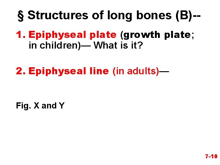 § Structures of long bones (B)-1. Epiphyseal plate (growth plate; in children)— What is