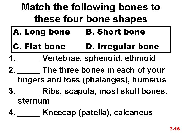 Match the following bones to these four bone shapes A. Long bone B. Short