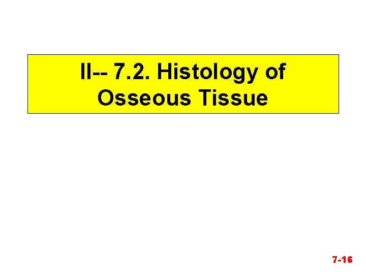 II-- 7. 2. Histology of Osseous Tissue 7 -16 