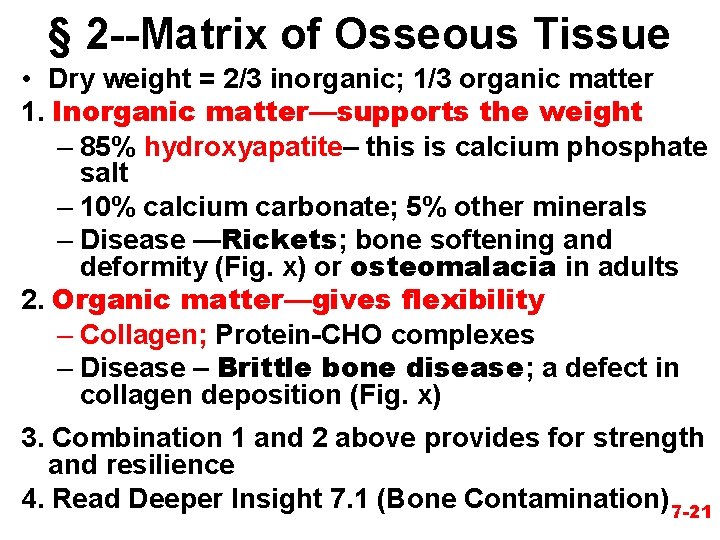§ 2 --Matrix of Osseous Tissue • Dry weight = 2/3 inorganic; 1/3 organic