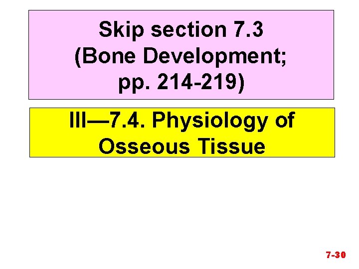 Skip section 7. 3 (Bone Development; pp. 214 -219) III— 7. 4. Physiology of
