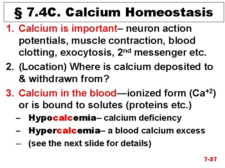 § 7. 4 C. Calcium Homeostasis 1. Calcium is important– neuron action potentials, muscle