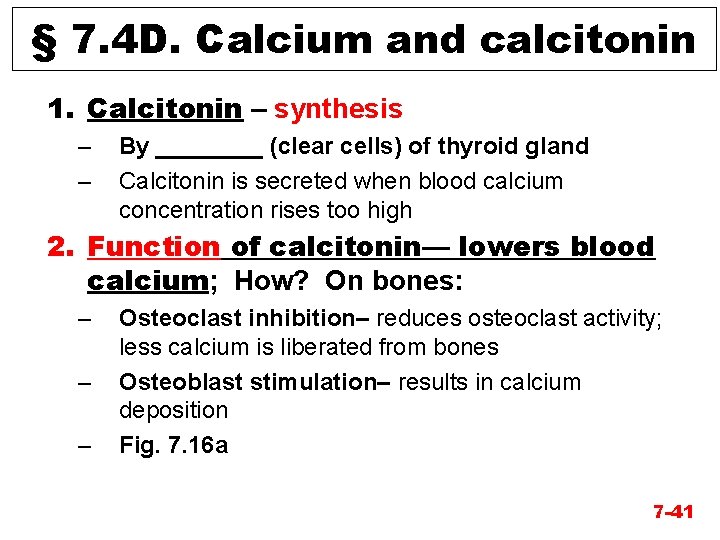 § 7. 4 D. Calcium and calcitonin 1. Calcitonin – synthesis – – By