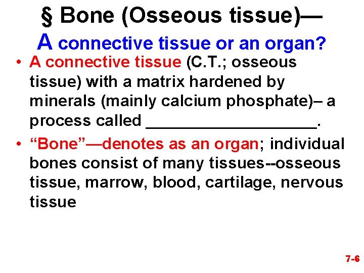 § Bone (Osseous tissue)— A connective tissue or an organ? • A connective tissue
