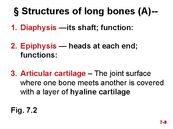 § Structures of long bones (A)-1. Diaphysis —its shaft; function: 2. Epiphysis — heads