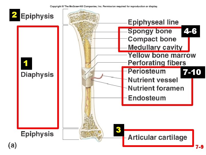 2 4 -6 1 7 -10 3 7 -9 