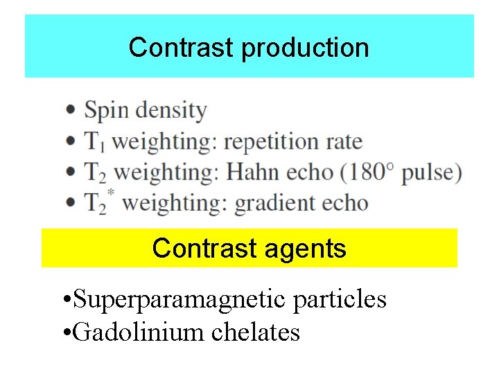 Contrast production Contrast agents • Superparamagnetic particles • Gadolinium chelates 