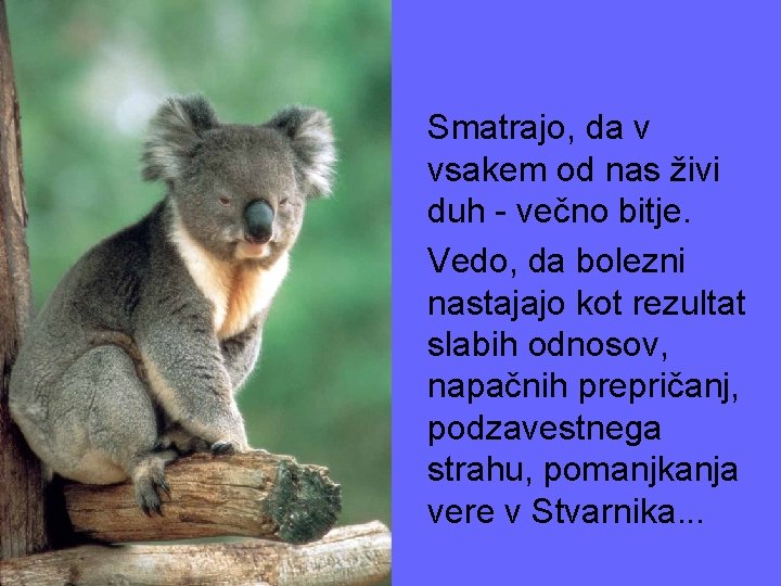 Smatrajo, da v vsakem od nas živi duh - večno bitje. Vedo, da bolezni