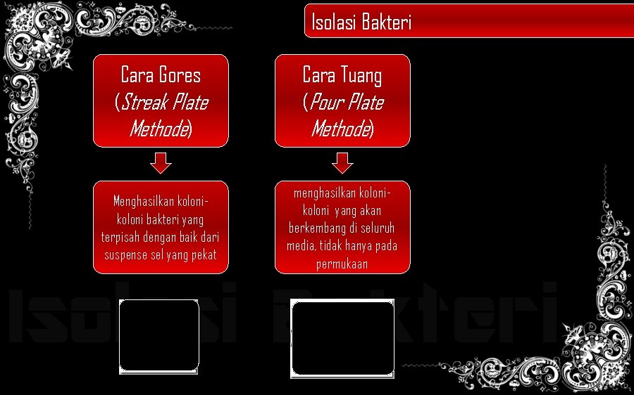 Isolasi Bakteri Cara Gores (Streak Plate Methode) Menghasilkan koloni bakteri yang terpisah dengan baik