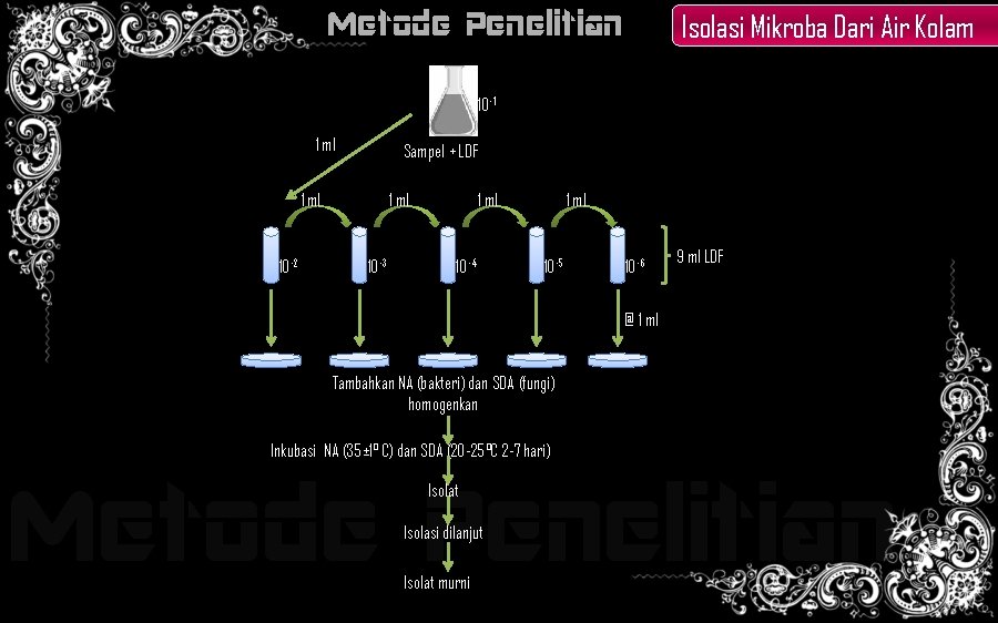 Metode Penelitian Isolasi Mikroba Dari Air Kolam 10 -1 1 ml Sampel + LDF