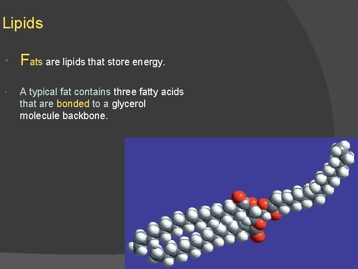 Lipids Fats are lipids that store energy. A typical fat contains three fatty acids