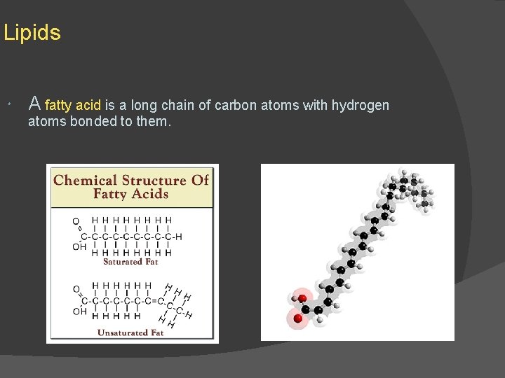 Lipids A fatty acid is a long chain of carbon atoms with hydrogen atoms