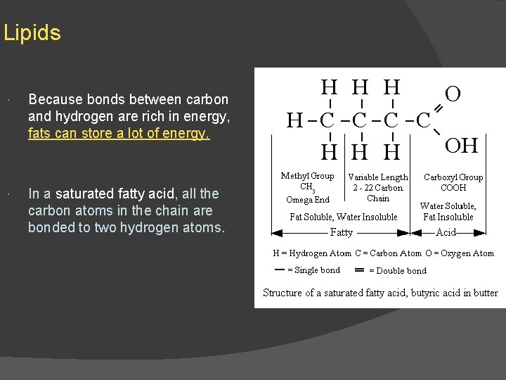 Lipids Because bonds between carbon and hydrogen are rich in energy, fats can store