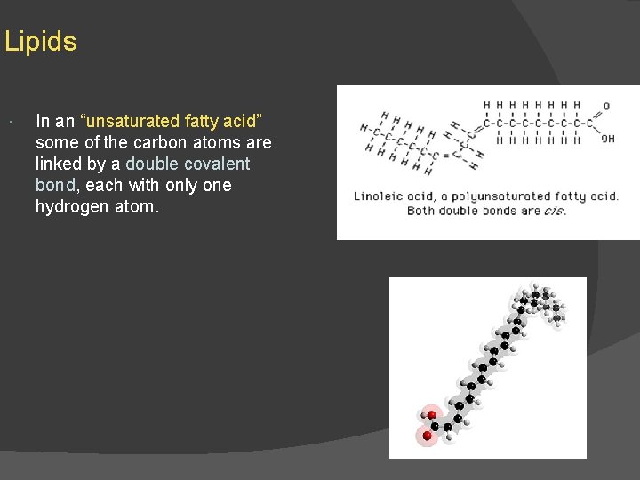 Lipids In an “unsaturated fatty acid” some of the carbon atoms are linked by
