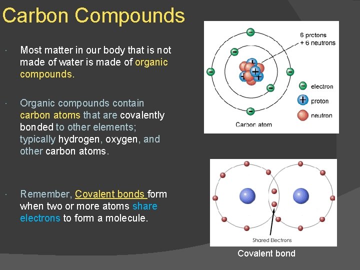 Carbon Compounds Most matter in our body that is not made of water is