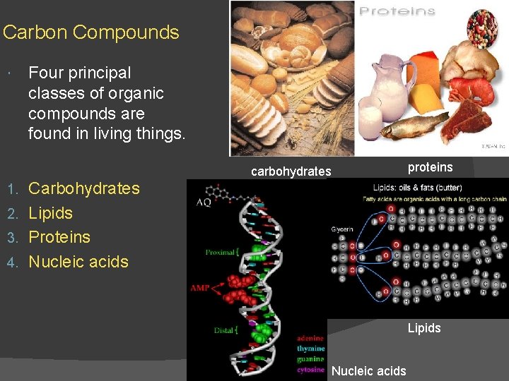 Carbon Compounds Four principal classes of organic compounds are found in living things. carbohydrates