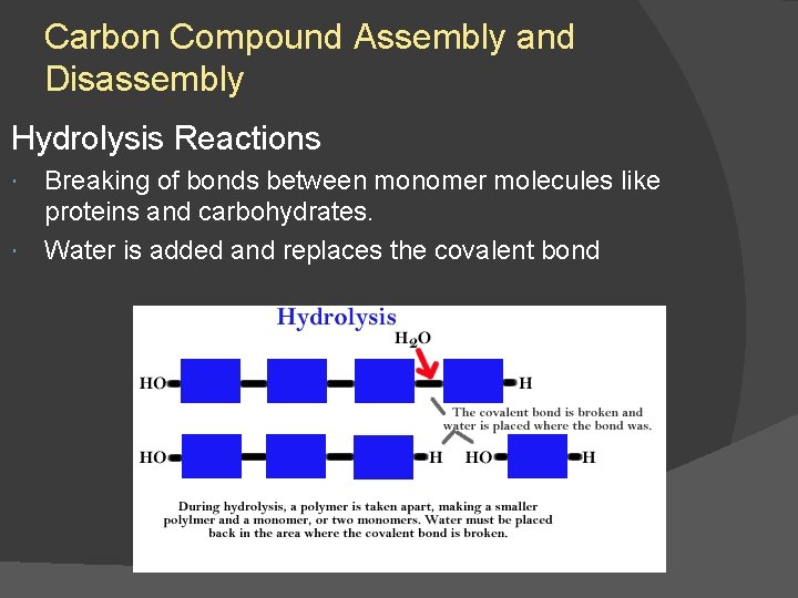 Carbon Compound Assembly and Disassembly Hydrolysis Reactions Breaking of bonds between monomer molecules like