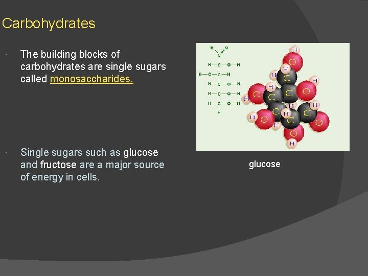 Carbohydrates The building blocks of carbohydrates are single sugars called monosaccharides. Single sugars such