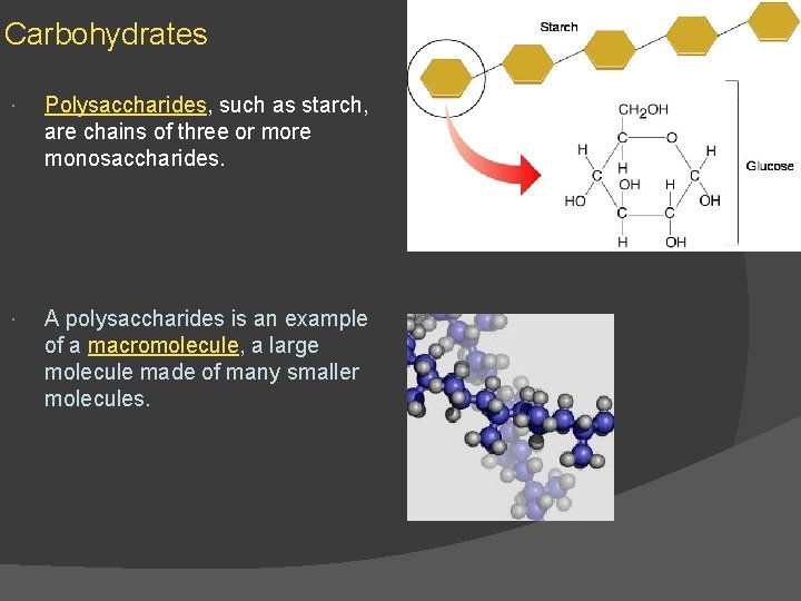 Carbohydrates Polysaccharides, such as starch, are chains of three or more monosaccharides. A polysaccharides