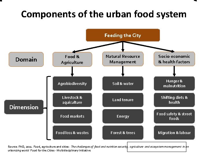 Components of the urban food system Feeding the City Domain Dimension Food & Agriculture