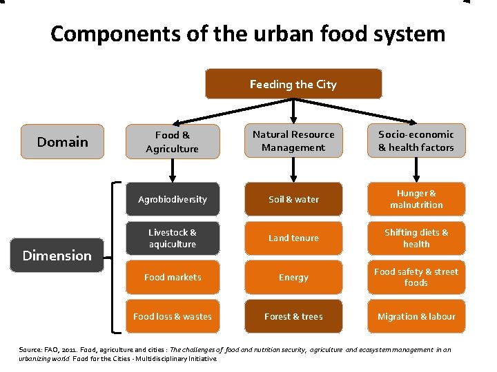 Components of the urban food system Feeding the City Domain Dimension Food & Agriculture