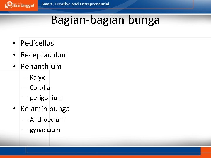 Bagian-bagian bunga • Pedicellus • Receptaculum • Perianthium – Kalyx – Corolla – perigonium