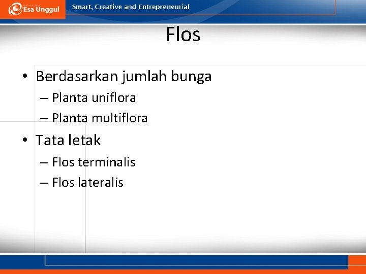 Flos • Berdasarkan jumlah bunga – Planta uniflora – Planta multiflora • Tata letak