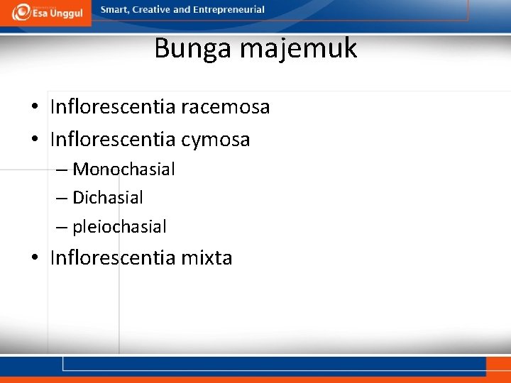 Bunga majemuk • Inflorescentia racemosa • Inflorescentia cymosa – Monochasial – Dichasial – pleiochasial