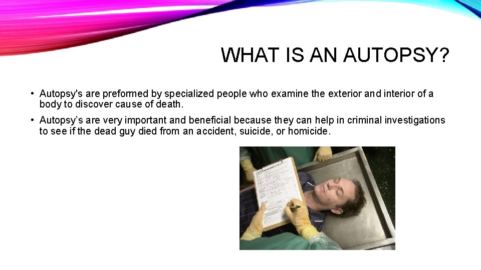 BANANA AUTOPSY Shadi and Karam WHAT IS AN