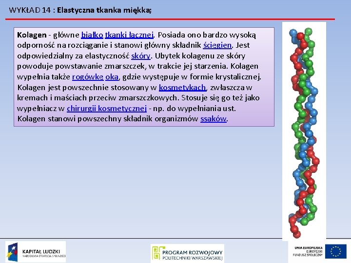 WYKŁAD 14 : Elastyczna tkanka miękka; Kolagen - główne białko tkanki łącznej. Posiada ono