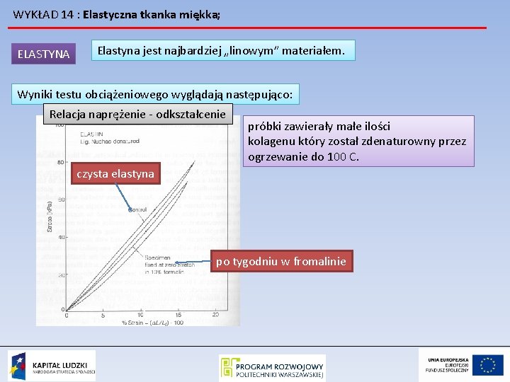 WYKŁAD 14 : Elastyczna tkanka miękka; ELASTYNA Elastyna jest najbardziej „linowym” materiałem. Wyniki testu