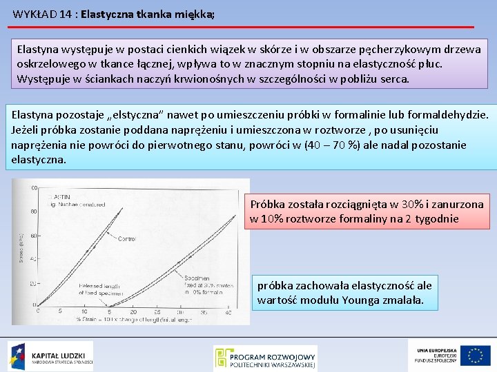 WYKŁAD 14 : Elastyczna tkanka miękka; Elastyna występuje w postaci cienkich wiązek w skórze