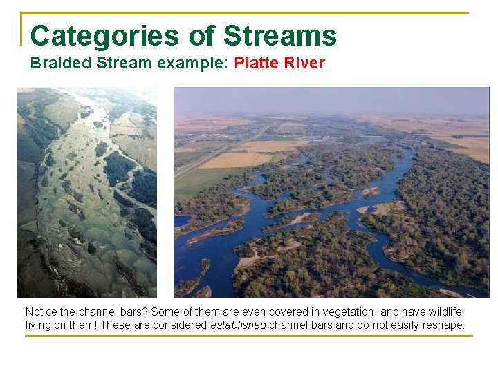 Categories of Streams Braided Stream example: Platte River Notice the channel bars? Some of