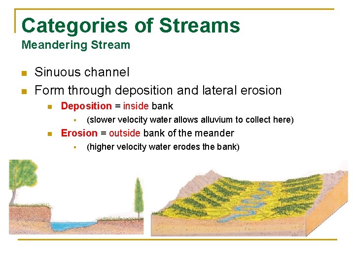 Categories of Streams Meandering Stream n n Sinuous channel Form through deposition and lateral