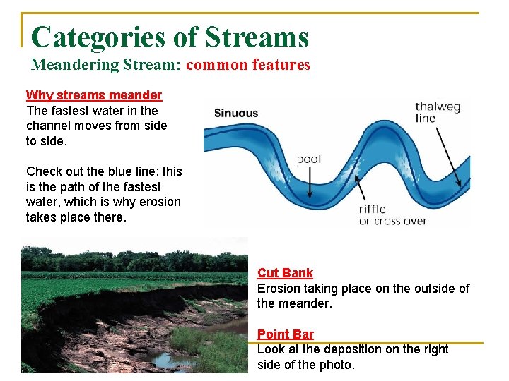 Categories of Streams Meandering Stream: common features Why streams meander The fastest water in