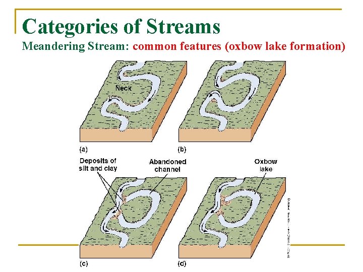 Categories of Streams Meandering Stream: common features (oxbow lake formation) 