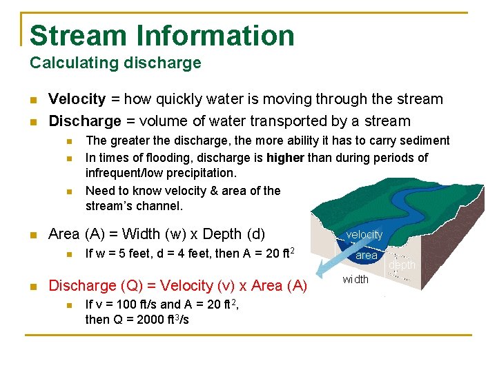 Stream Information Calculating discharge n n Velocity = how quickly water is moving through