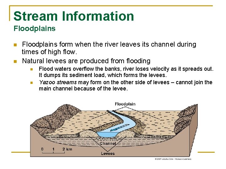 Stream Information Floodplains n n Floodplains form when the river leaves its channel during