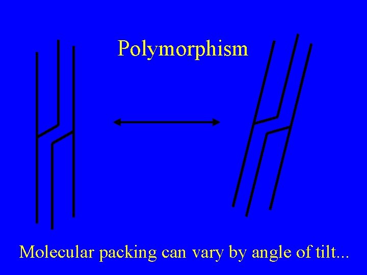 Polymorphism Molecular packing can vary by angle of tilt. . . 