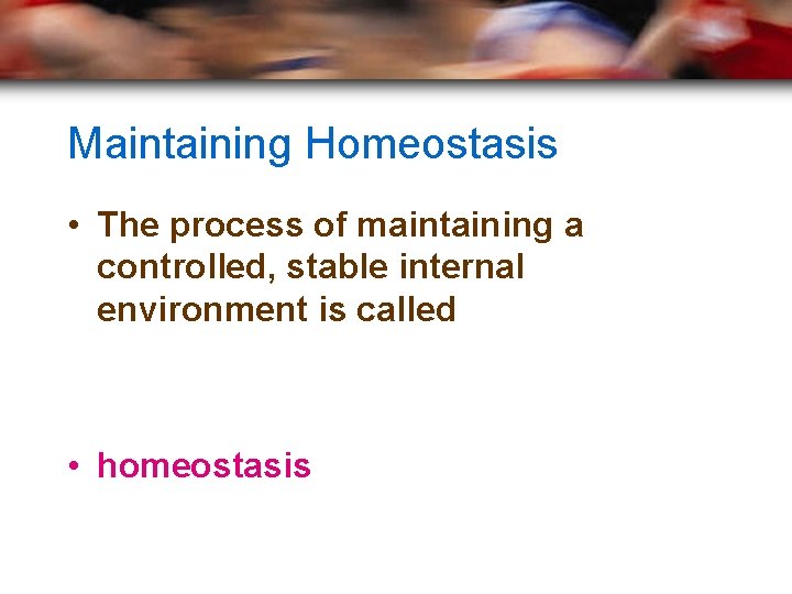 Maintaining Homeostasis • The process of maintaining a controlled, stable internal environment is called