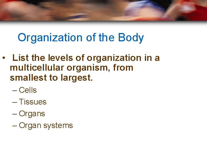 Organization of the Body • List the levels of organization in a multicellular organism,