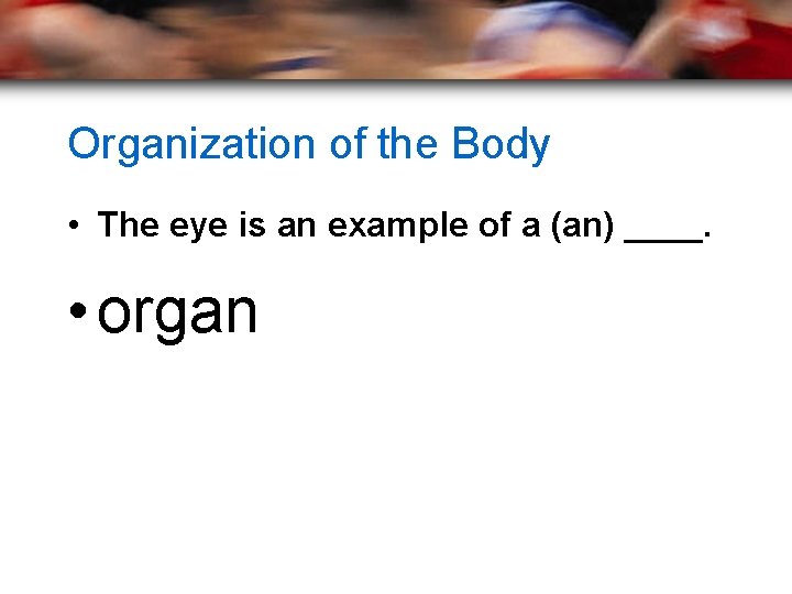 Organization of the Body • The eye is an example of a (an) ____.