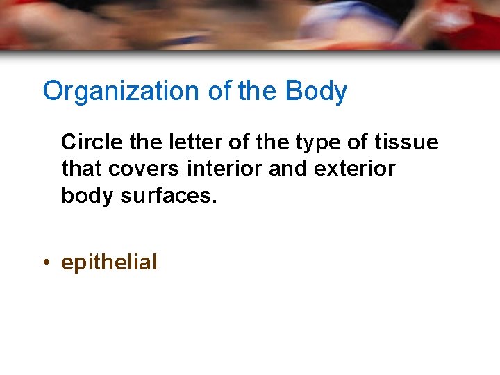 Organization of the Body Circle the letter of the type of tissue that covers