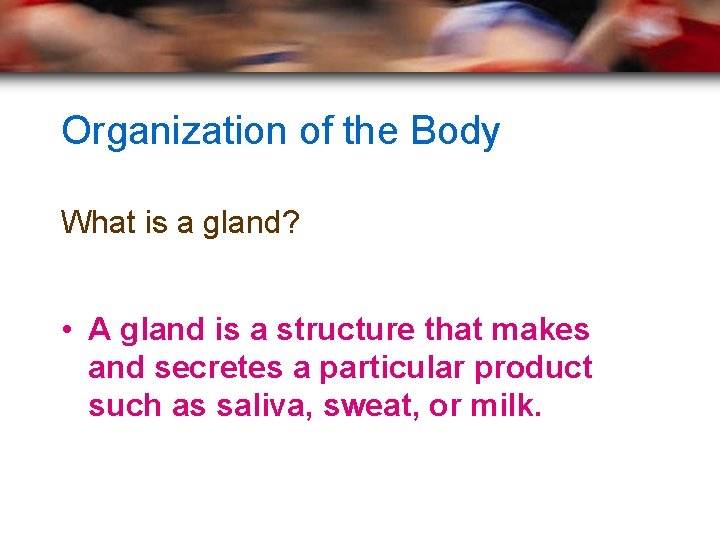 Organization of the Body What is a gland? • A gland is a structure