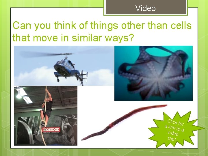 Video Can you think of things other than cells that move in similar ways? Video Can you think of things other than cells that move in similar ways?